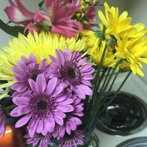 Meet your Posher, Alicia